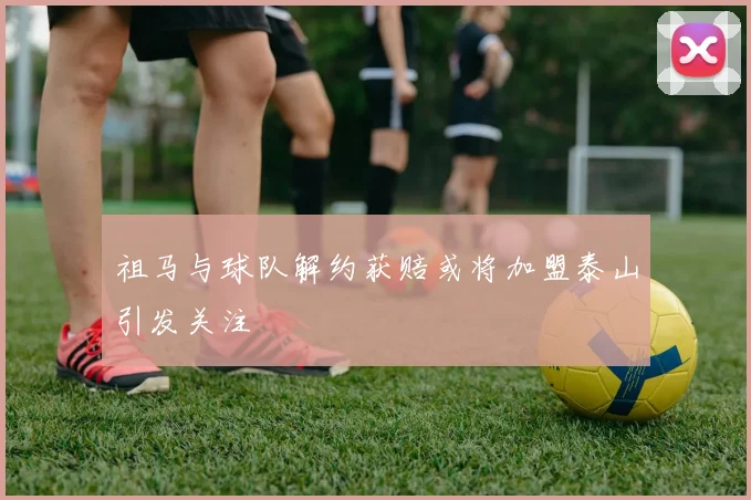 祖马与球队解约获赔或将加盟泰山引发关注